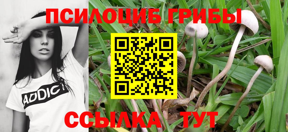 Псилоцибиновые грибы Magic Shrooms Зеленодольск